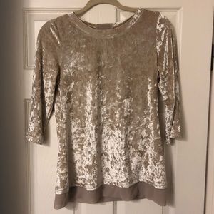 Velvet top NWOT
